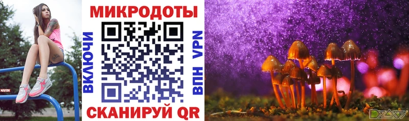 Псилоцибиновые грибы мицелий  наркотики  Солигалич 